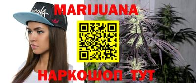 стаф Краснодар