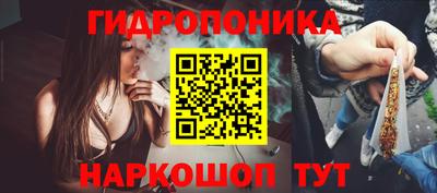 стаф Краснодар