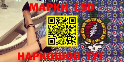стаф Краснодар