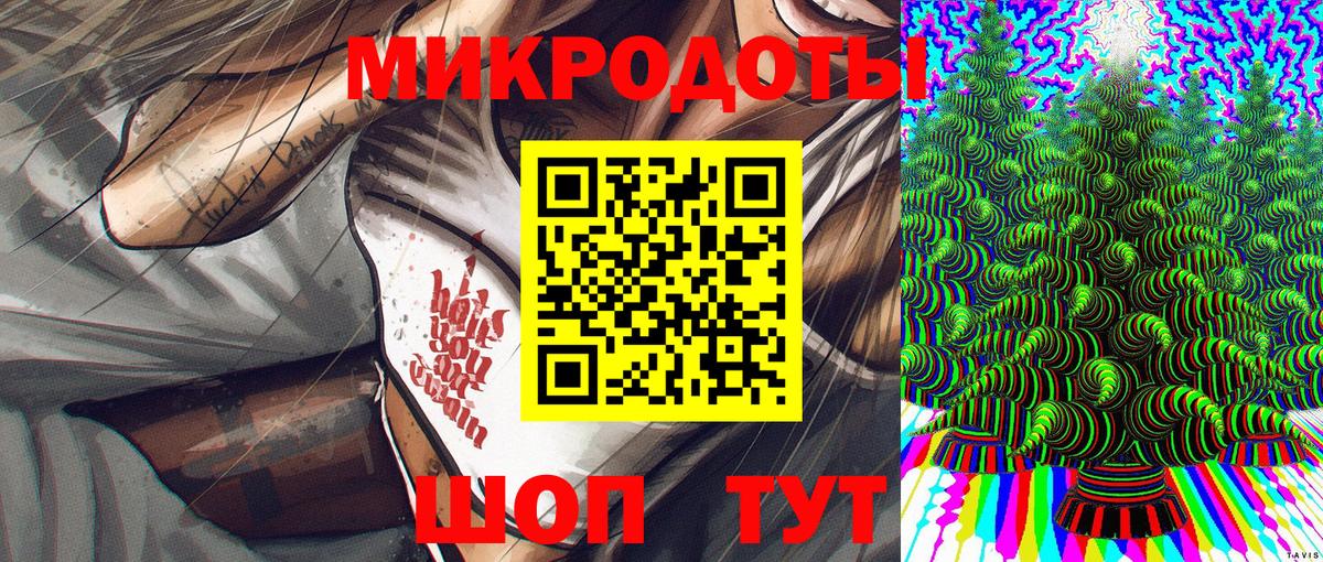 Губкин  Галлюциногенные грибы Psilocybe  Вход с VPN 